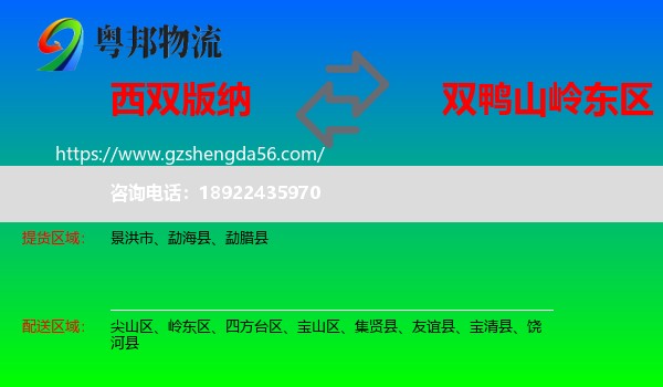 西双版纳到岭东区物流专线