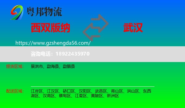 西双版纳到武汉专线