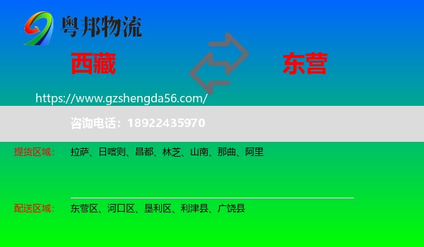 西藏到东营物流