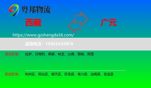 西藏到广元物流