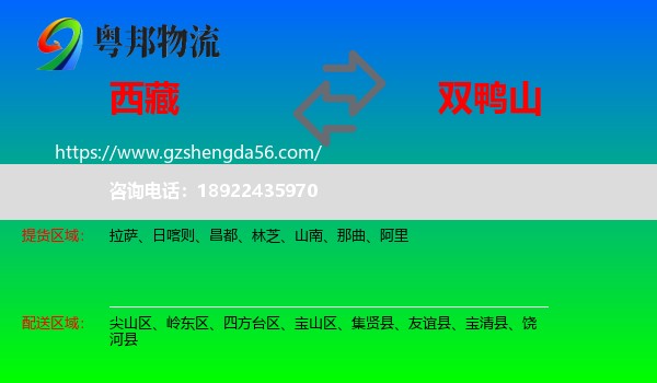 西藏到双鸭山物流