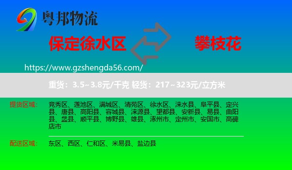 徐水区到攀枝花物流