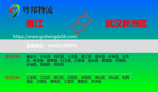 雅江县到新洲区物流专线