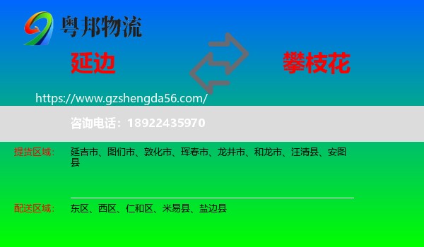 延边到攀枝花物流