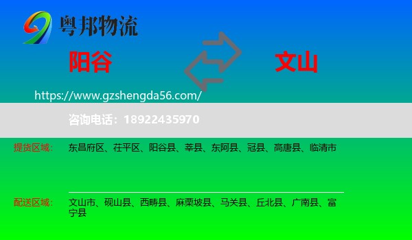 阳谷县到文山物流专线