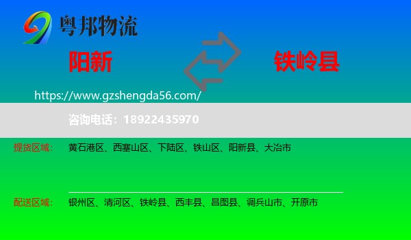 阳新县到铁岭县物流专线