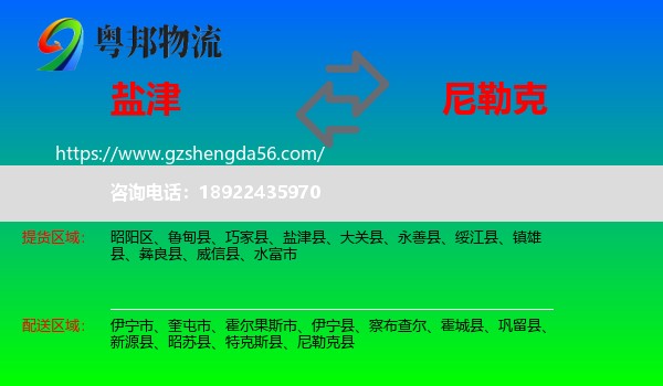 盐津县到尼勒克县物流专线