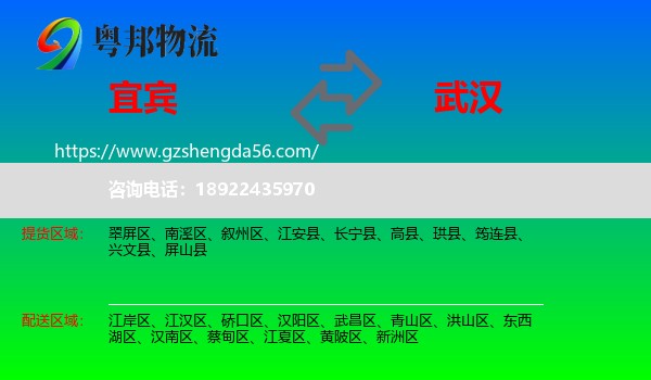 宜宾到武汉专线