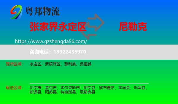 永定区到尼勒克县物流专线