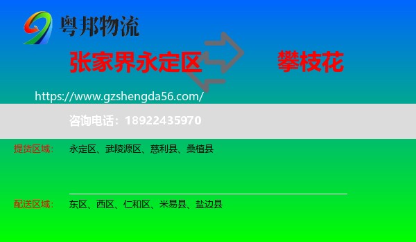 永定区到攀枝花物流
