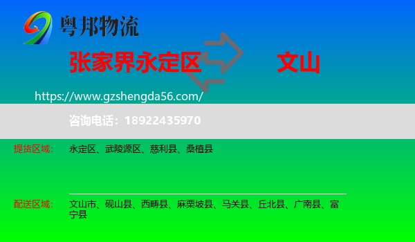 永定区到文山物流