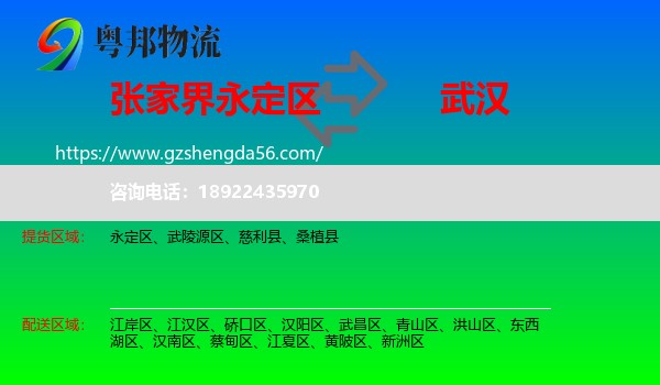 永定区到武汉专线