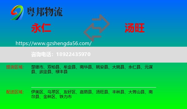 永仁县到汤旺县物流专线
