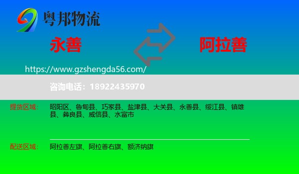 永善县到阿拉善盟物流