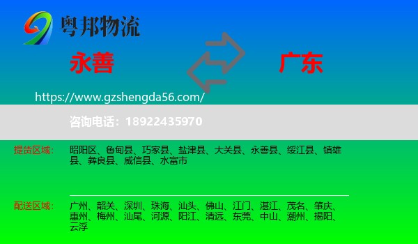 永善县到广东物流