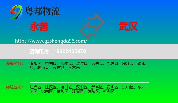 永善县到武汉专线