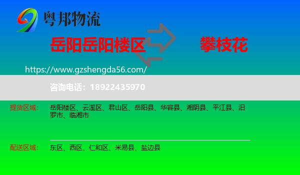 岳阳楼区到攀枝花物流专线