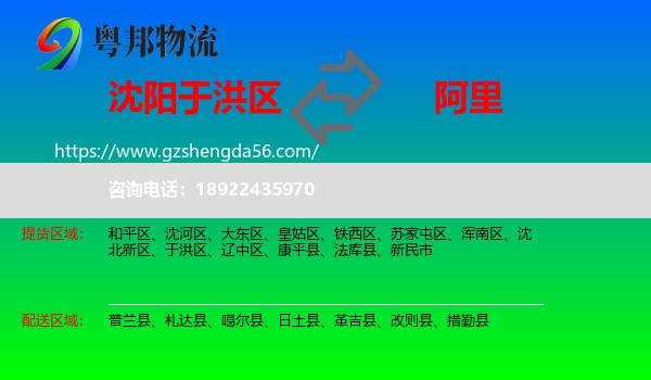 于洪区到阿里物流专线