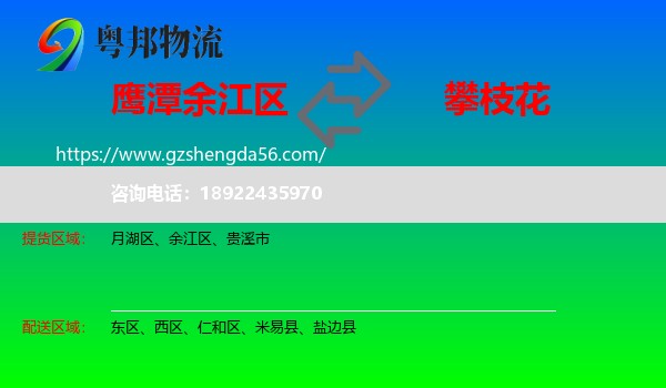 余江区到攀枝花物流专线