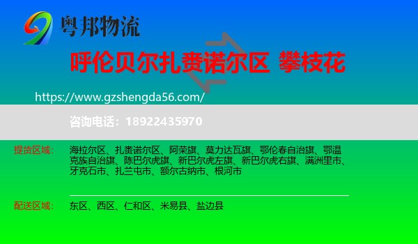 扎赉诺尔区到攀枝花物流专线