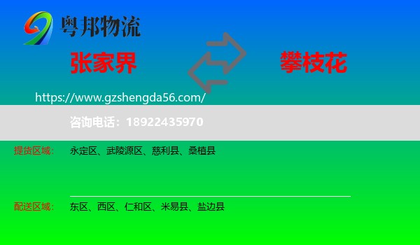 张家界到攀枝花物流