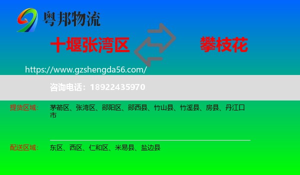 张湾区到攀枝花物流专线