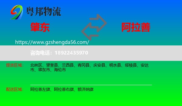 肇东市到阿拉善盟物流专线