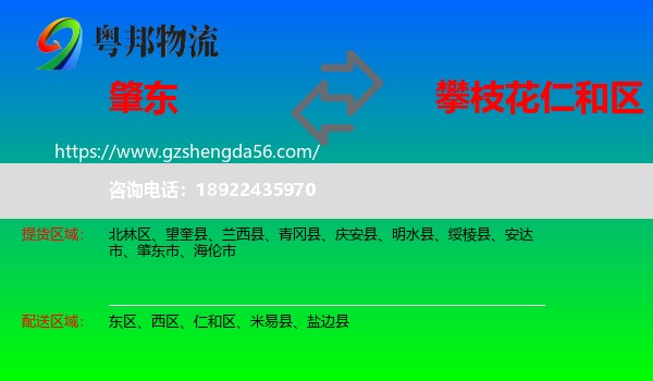 肇东市到仁和区物流专线