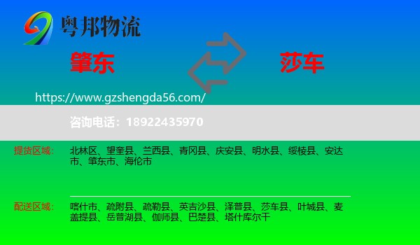 肇东市到莎车县物流专线