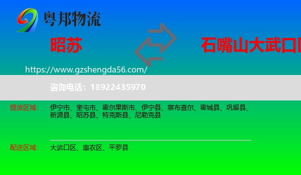 昭苏县到大武口区物流专线
