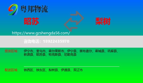 昭苏县到梨树县物流专线