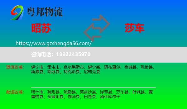 昭苏县到莎车县物流专线