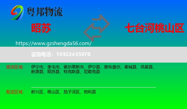 昭苏县到桃山区物流专线