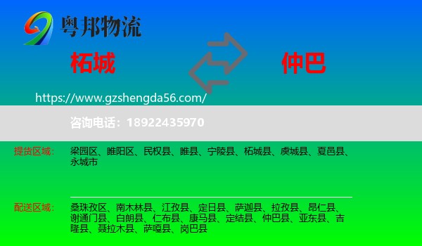 柘城县到仲巴县物流专线